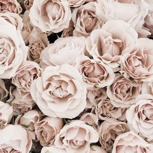 Meet your Posher, Jaeda